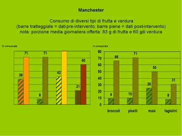 grafico 4